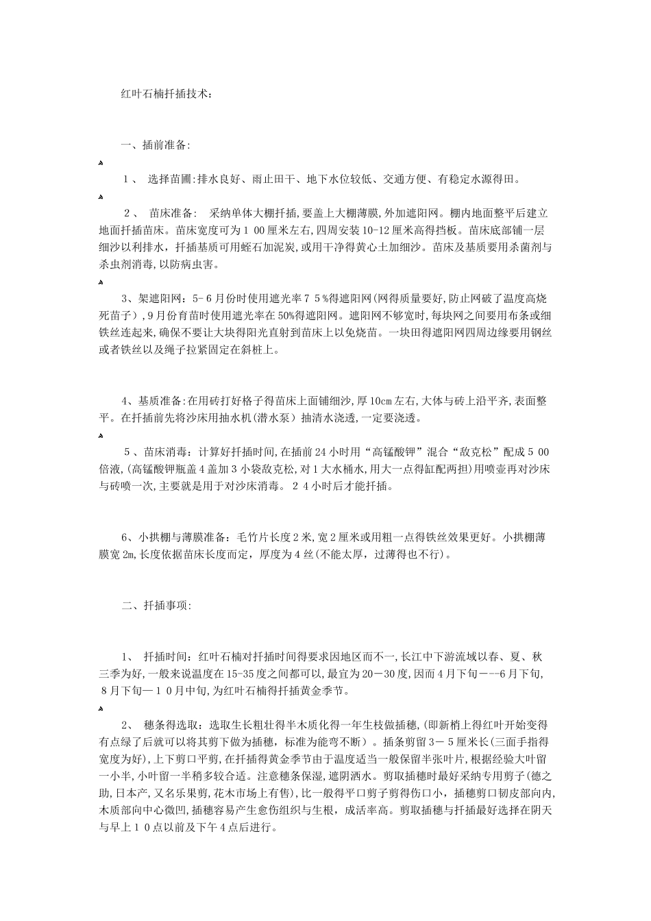 红叶石楠的扦插技术_第1页