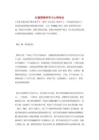 红旗渠精神学习心得体会