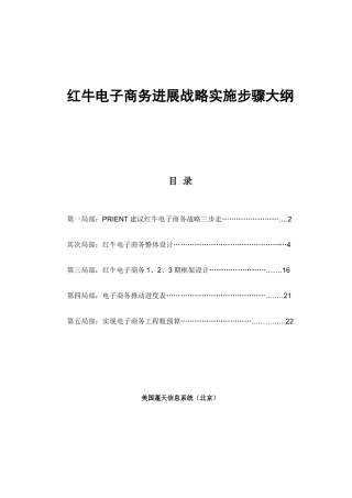 红牛电子商务发展战略实施步骤大纲