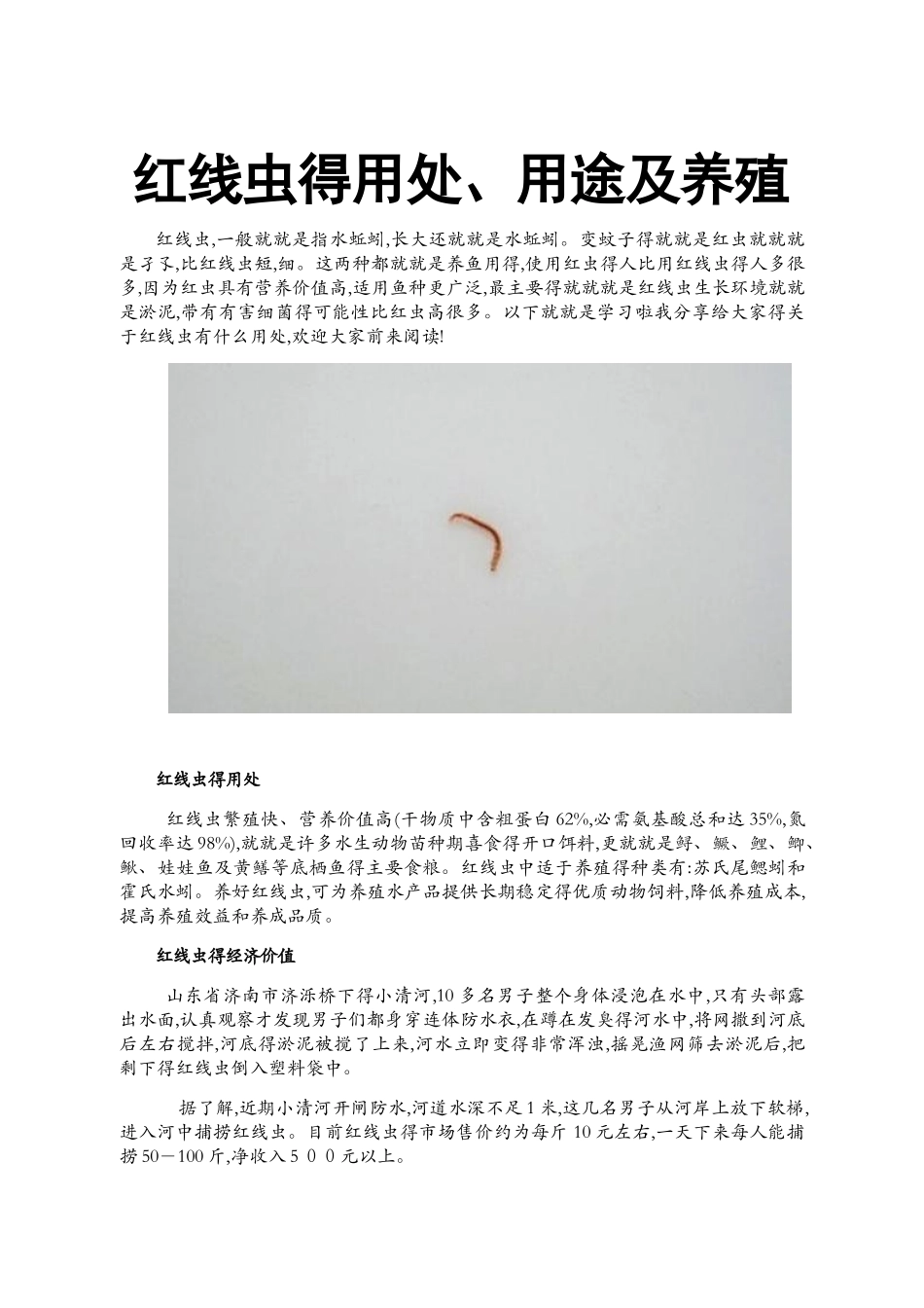红线虫的用处、用途及养殖_第1页