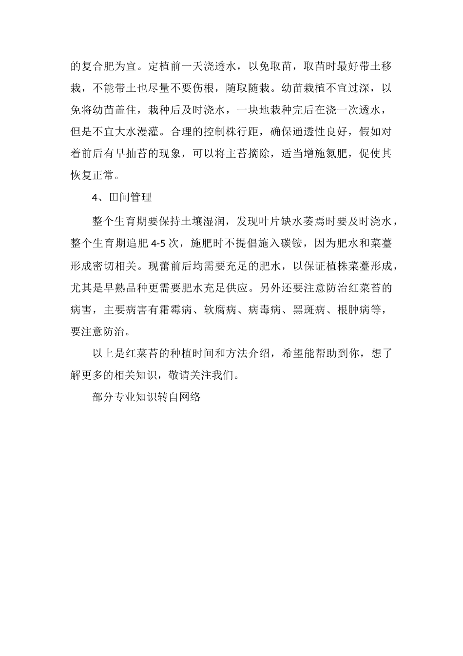 红菜苔种植时间和方法_第2页