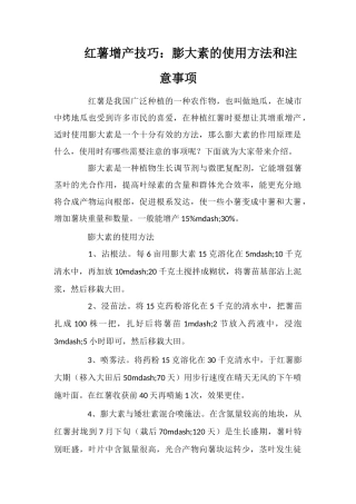 红薯增产技巧：膨大素的使用方法和注意事项