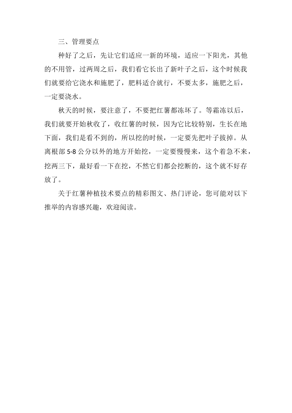 红薯的高效种植步骤介绍_第2页