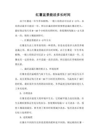 红薯盆景能活多长时间