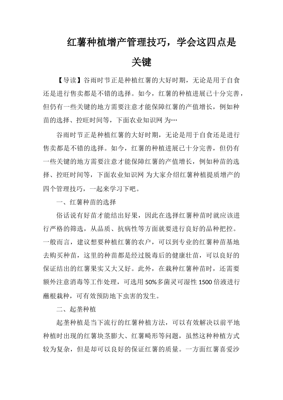 红薯种植增产管理技巧-学会这四点是关键_第1页