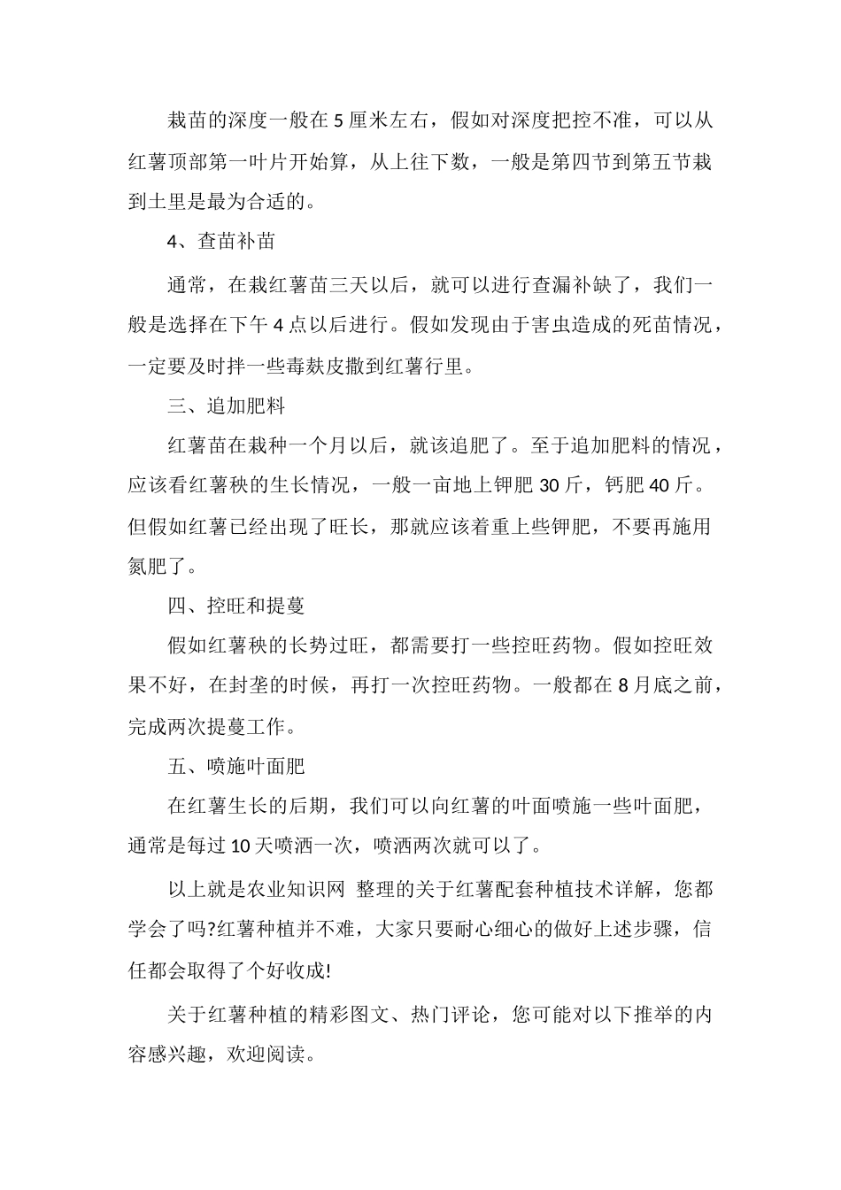 红薯配套种植技术详解-教您种出高产红薯!_第2页