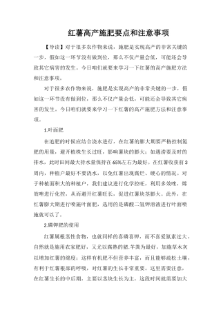 红薯高产施肥要点和注意事项