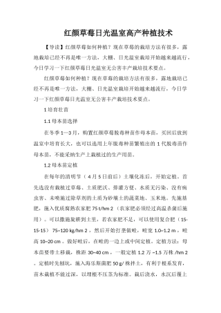 红颜草莓日光温室高产种植技术