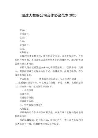 组建大数据公司合作协议范本2025