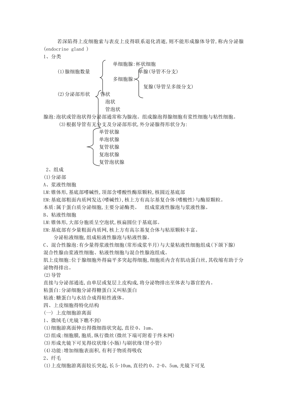 组织学与胚胎学笔记_第3页