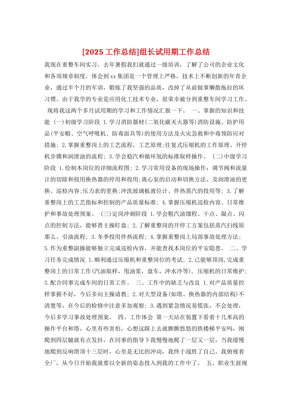 组长试用期工作总结_第1页