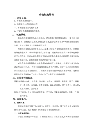 细胞培养实验报告