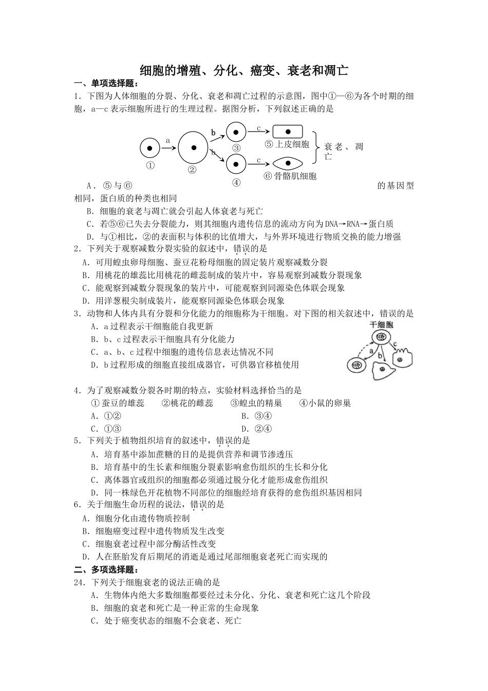 细胞的增殖、分化、癌变、衰老和凋亡_第1页