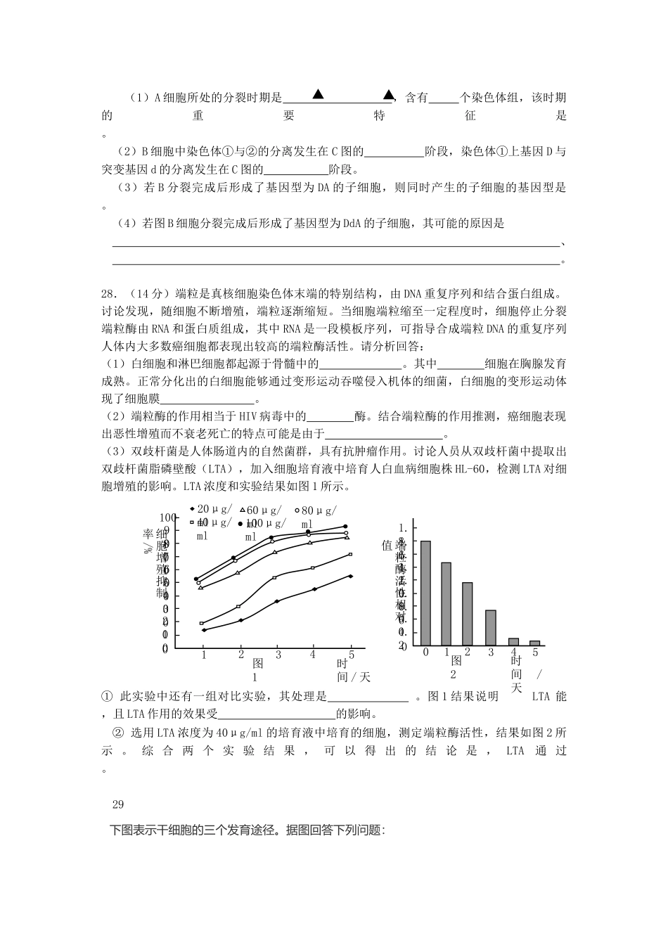 细胞的增殖、分化、癌变、衰老和凋亡_第3页