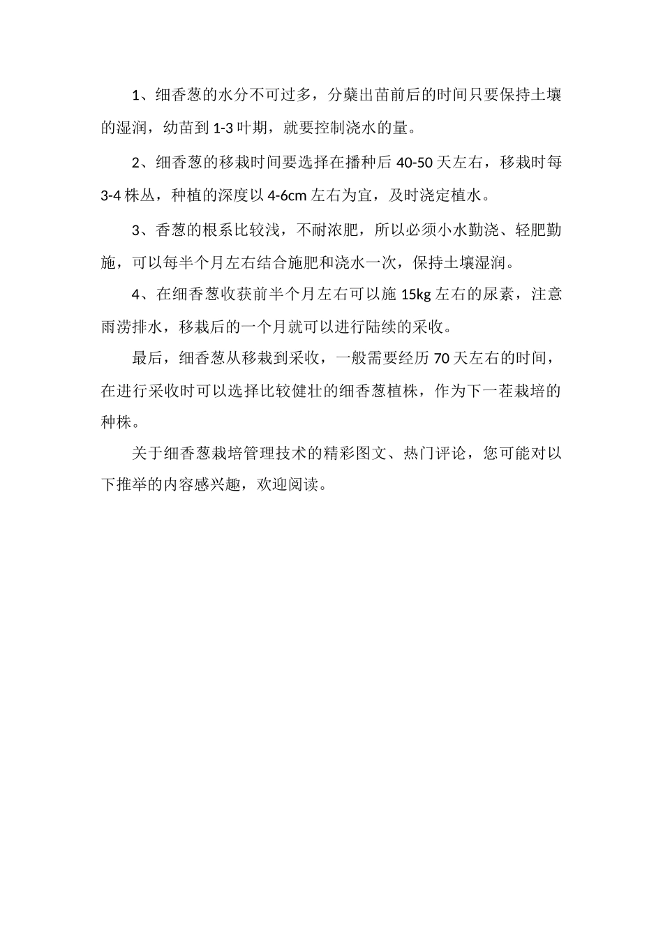 细香葱的栽培管理技术详细介绍_第2页