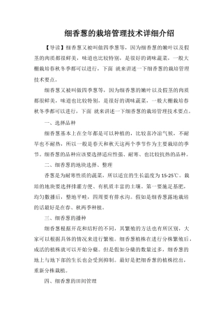 细香葱的栽培管理技术详细介绍