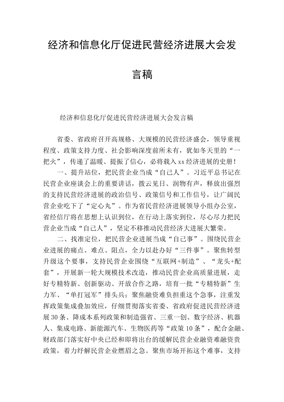 经济和信息化厅促进民营经济发展大会发言稿_第1页