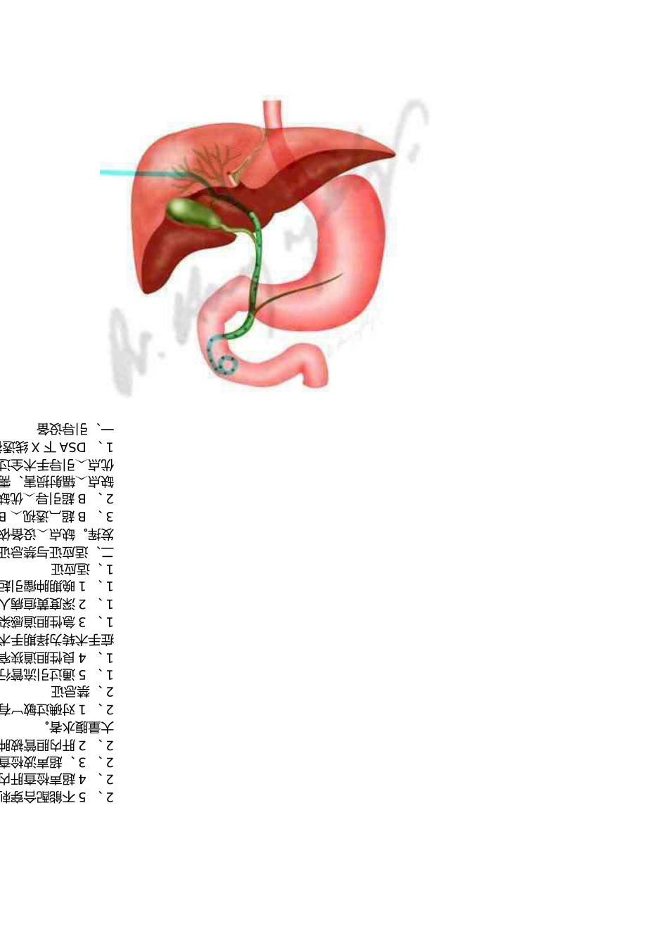 经皮穿刺肝胆管引流术_第3页