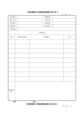 结构混凝土表观缺陷检测记录