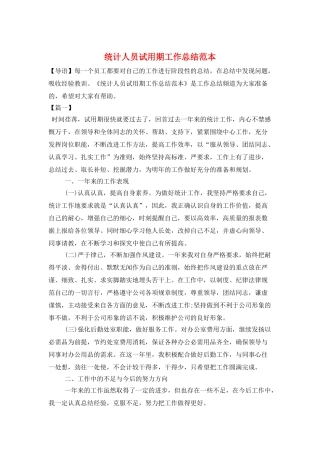 统计人员试用期工作总结范本
