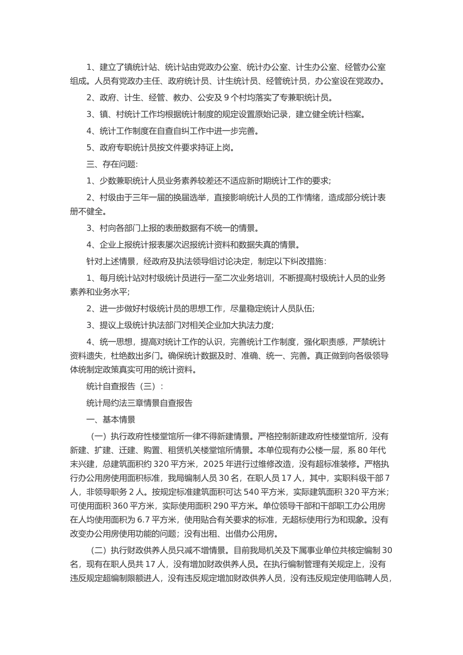 统计自查报告15篇述职报告-工作报告-工作总结_第3页