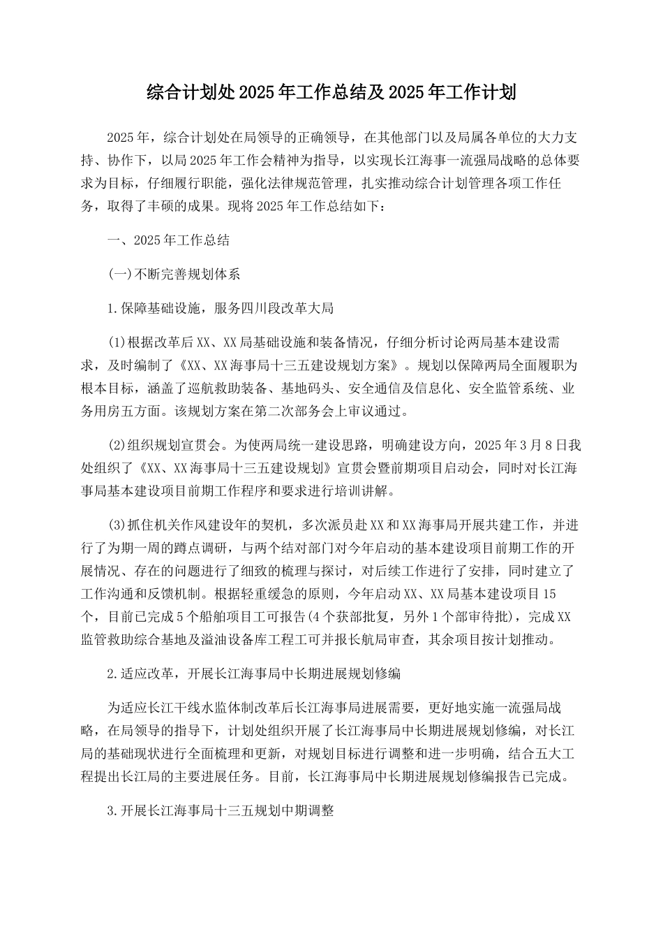 综合计划处2025年工作总结及2025年工作计划_第1页