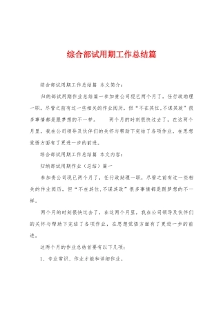 综合部试用期工作总结篇
