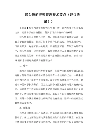 绿头鸭的养殖管理技术要点