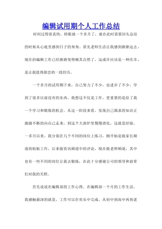 编辑试用期个人工作总结