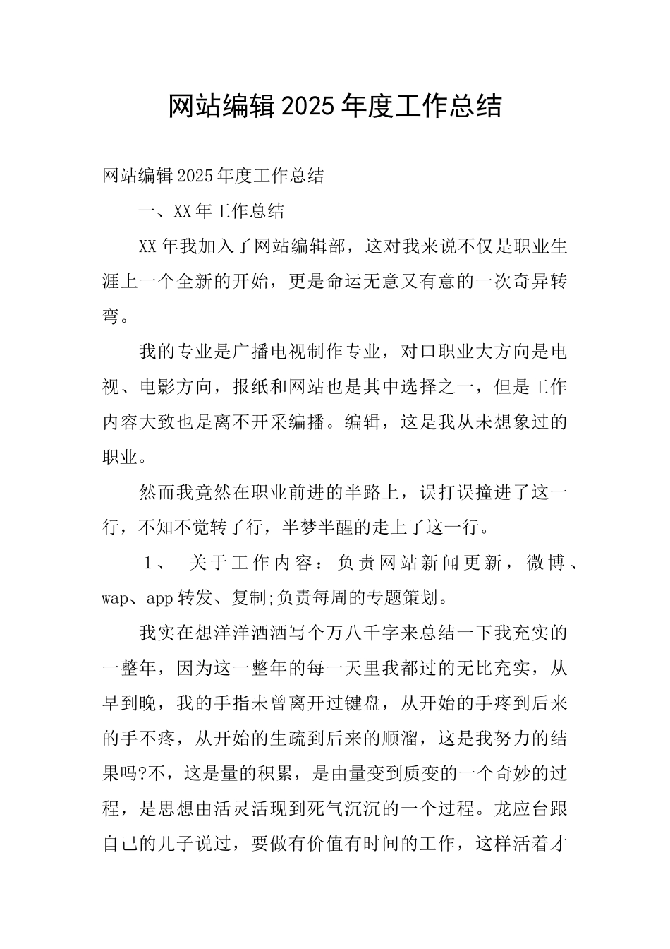 网站编辑2025年度工作总结_第1页