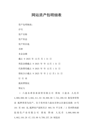 网站资产包明细表