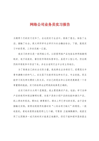 网络公司业务员实习报告