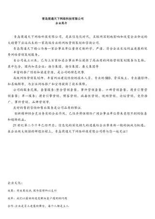 网络公司企业简介