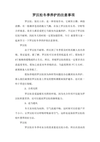罗汉松冬季养护的注意事项