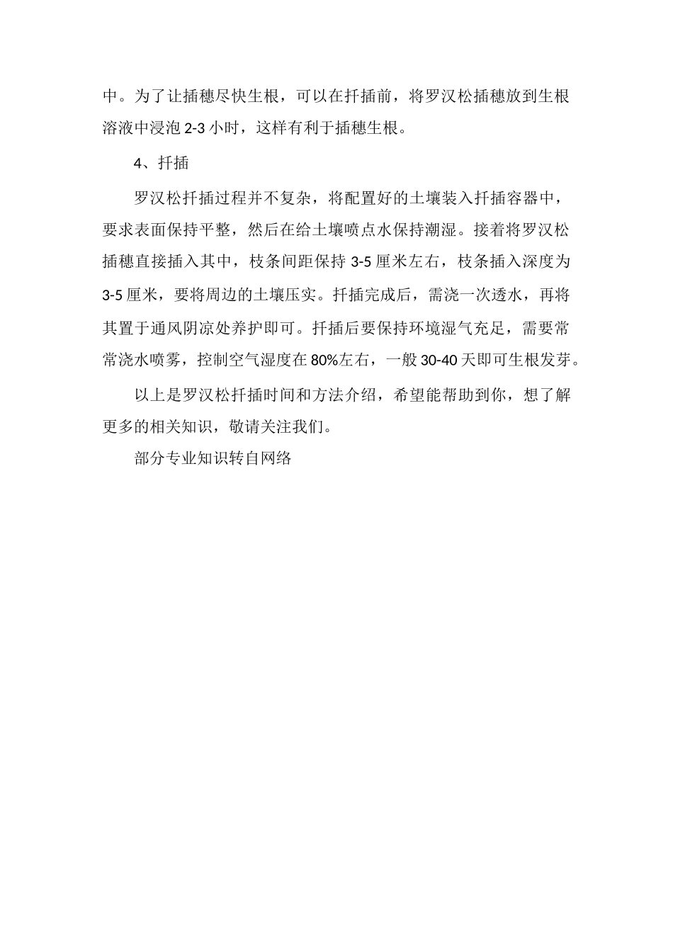罗汉松扦插时间和方法_第2页