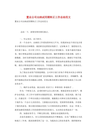 置业公司出纳试用期转正工作总结范文