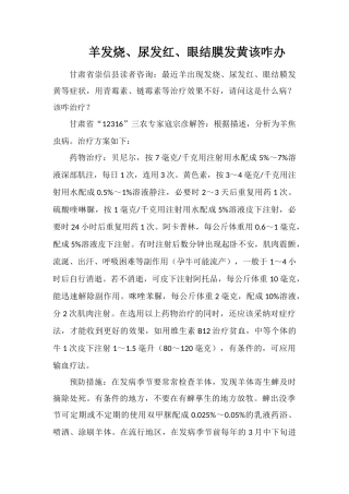 羊发烧、尿发红、眼结膜发黄该咋办