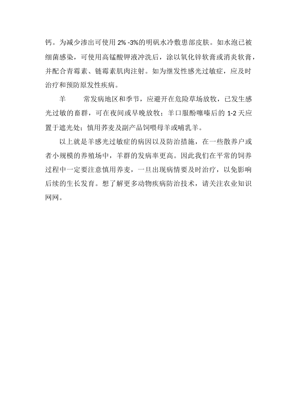 羊感光过敏症的病因及防治措施_第2页