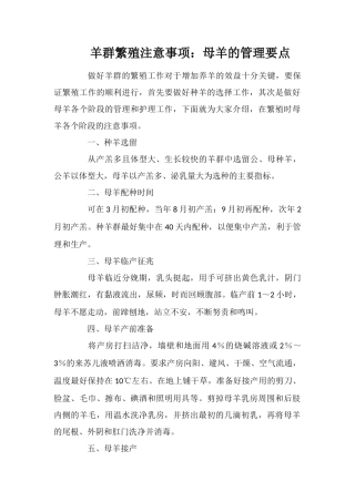 羊群繁殖注意事项：母羊的管理要点