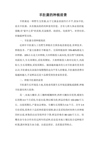 羊肚菌的种植前景