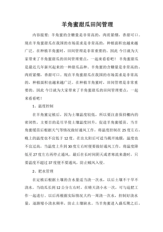 羊角蜜甜瓜田间管理