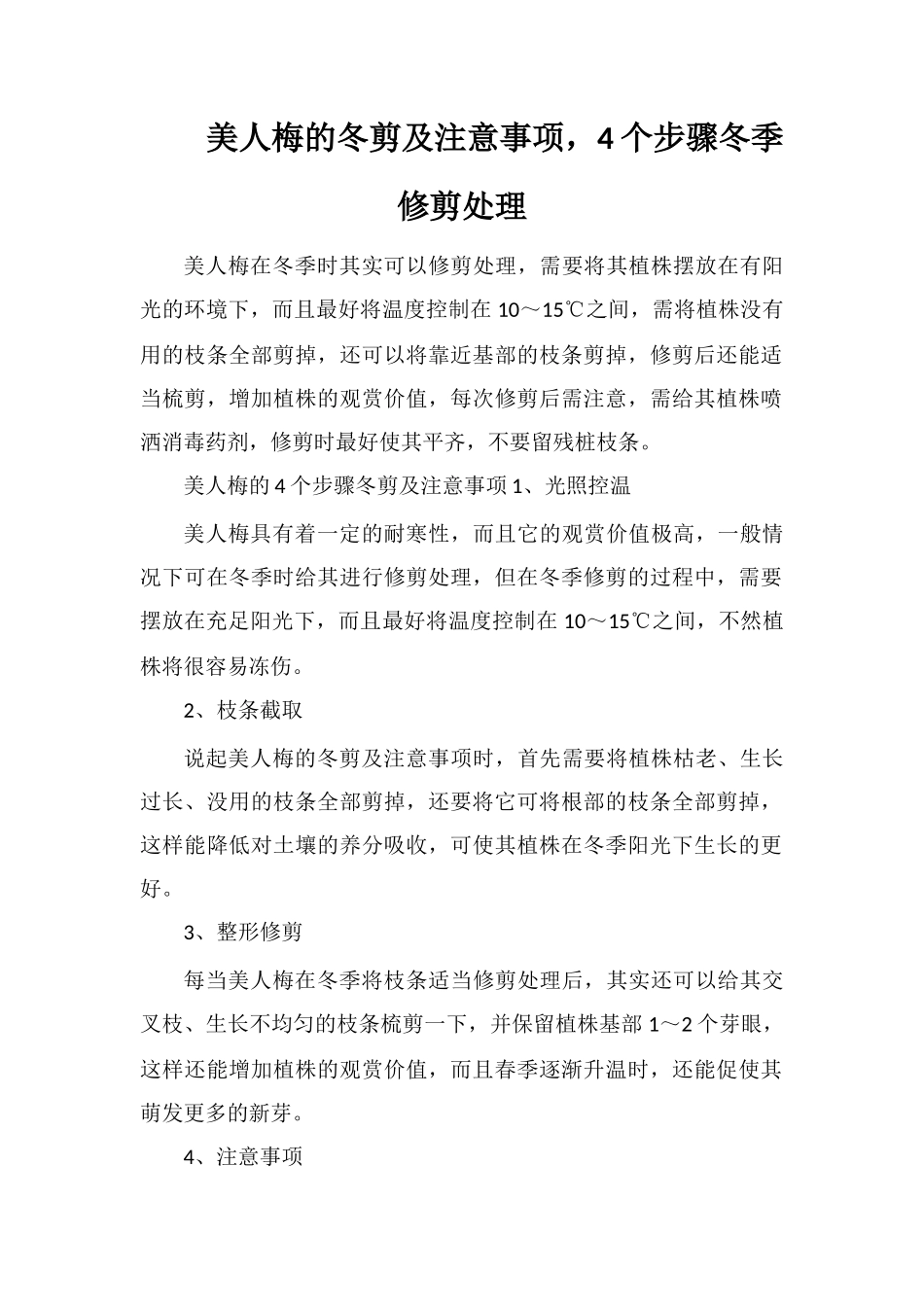 美人梅的冬剪及注意事项-4个步骤冬季修剪处理_第1页