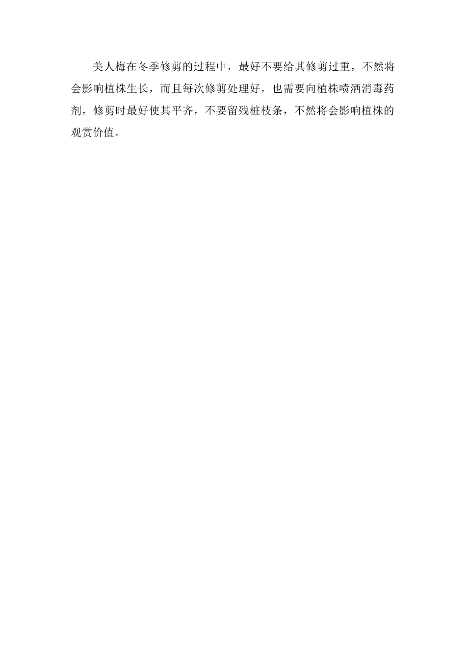 美人梅的冬剪及注意事项-4个步骤冬季修剪处理_第2页