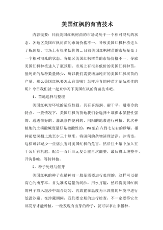 美国红枫的育苗技术