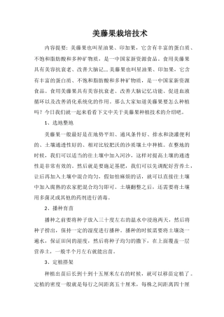 美藤果栽培技术