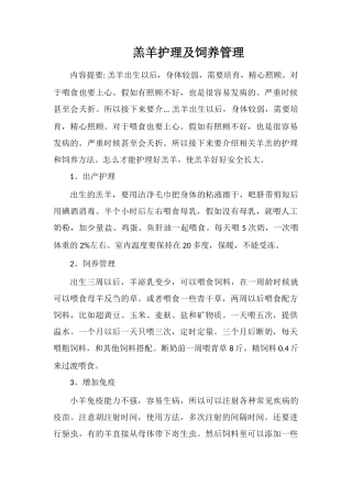 羔羊护理及饲养管理