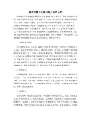 群养肉鸭发生特点性肝炎的诊疗