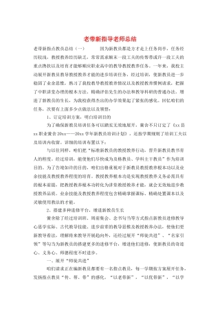 老带新指导教师总结
