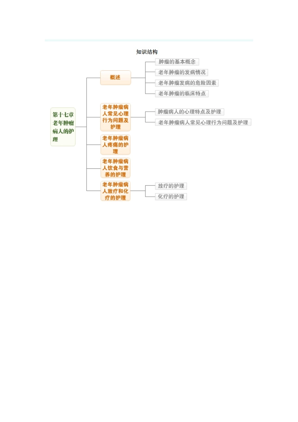 老年肿瘤病人的护理_第2页