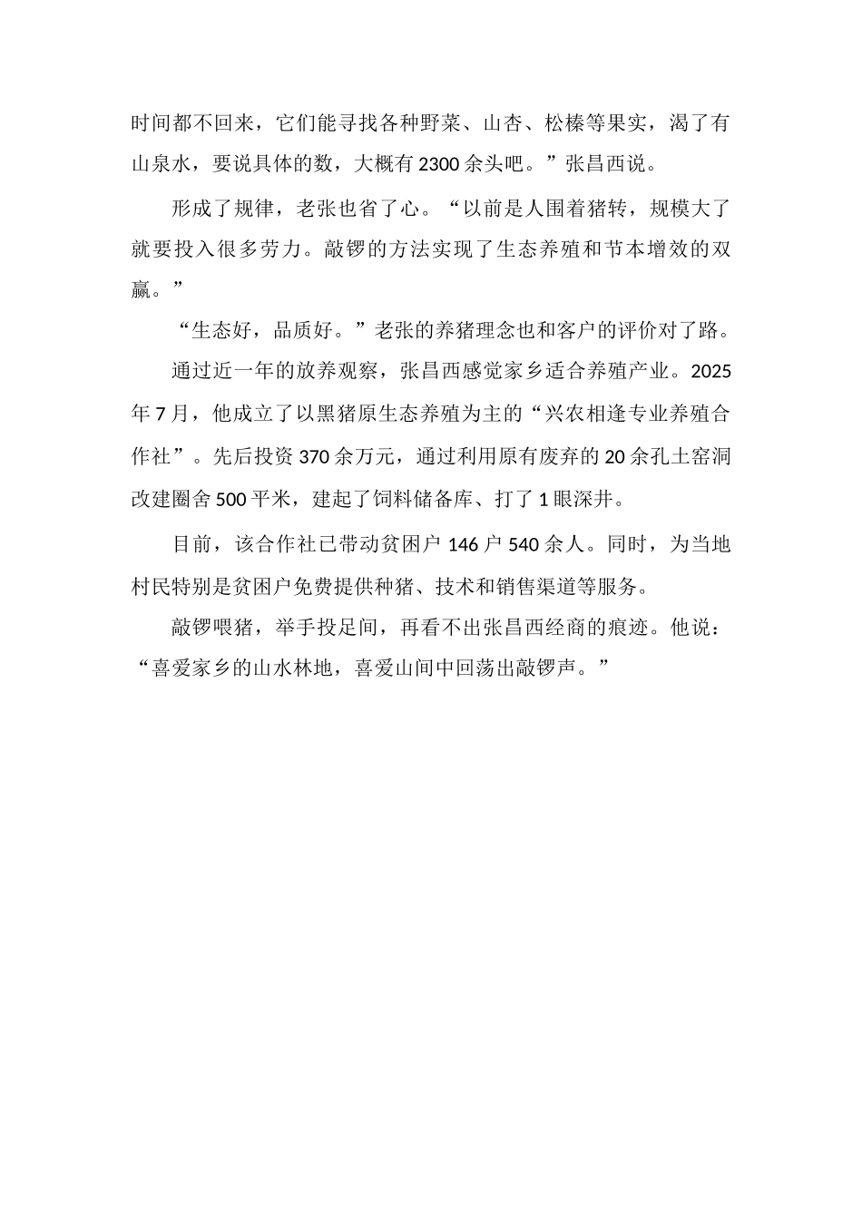 老张养的猪会听锣_第2页